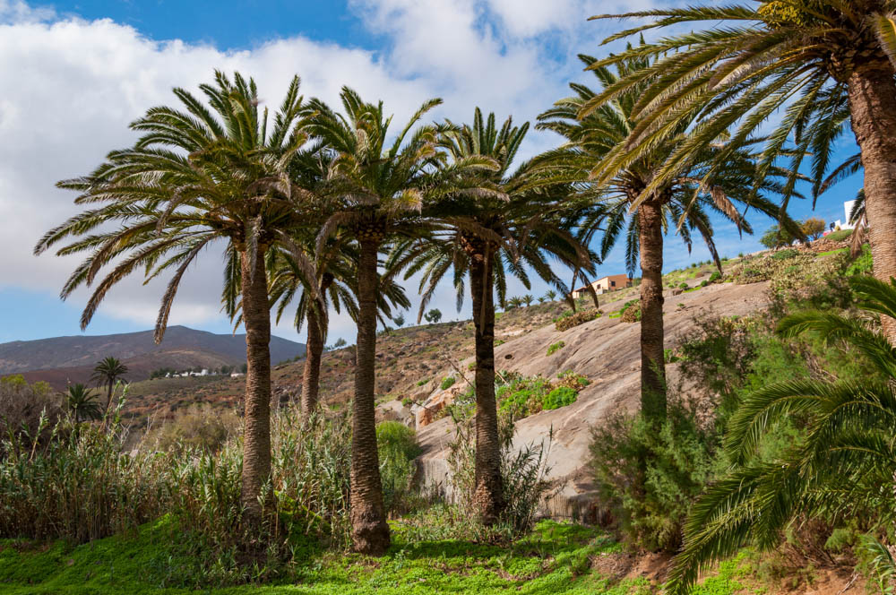 Senderismo Fuerteventura